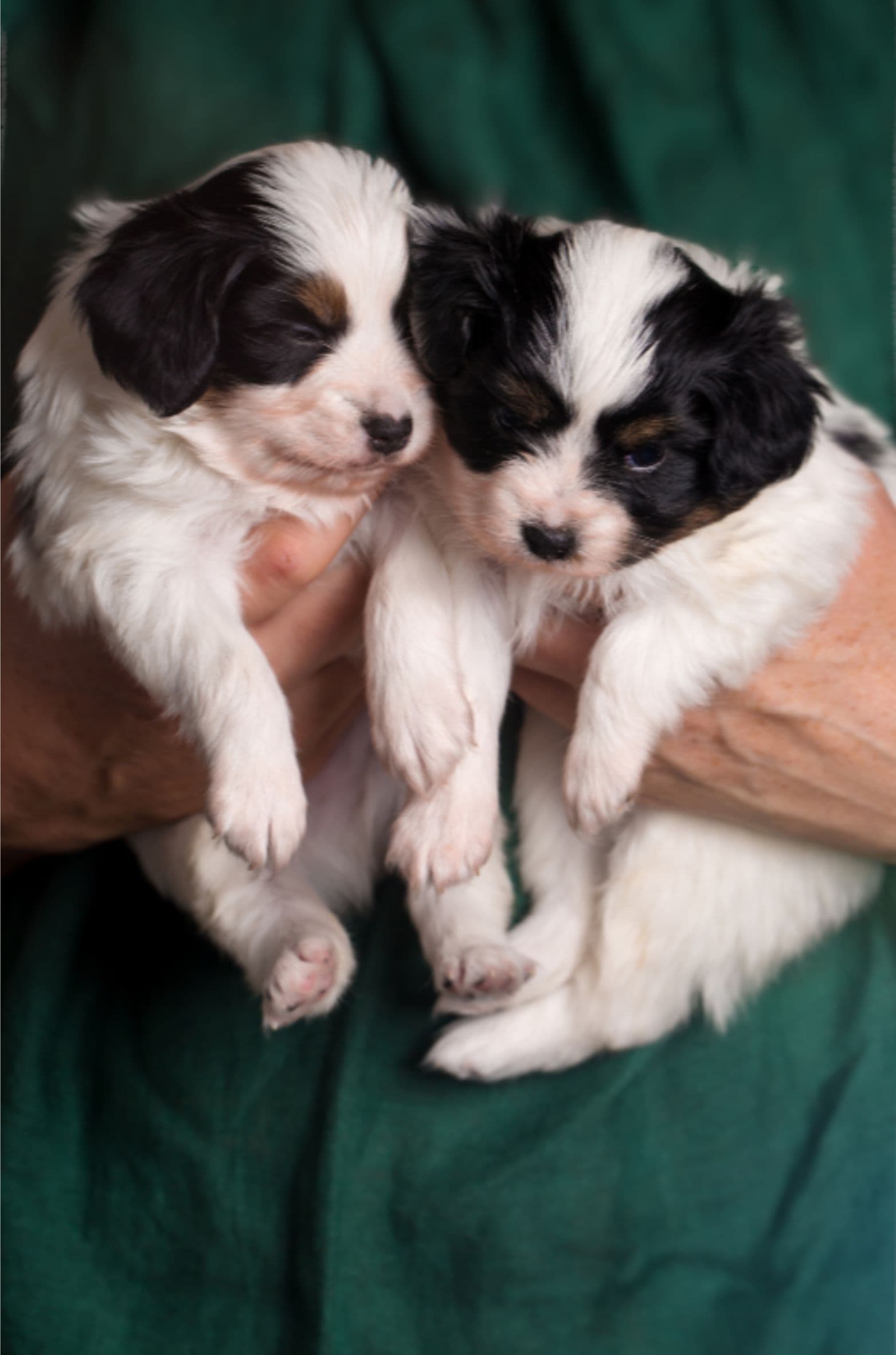 Design sans titre.jpg