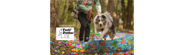 Festi’pattes.png