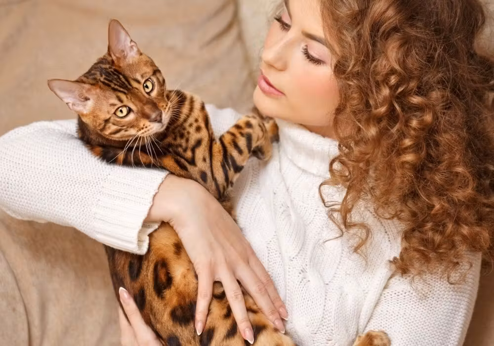 Femme allergique aux poils de chats portant un bengal
