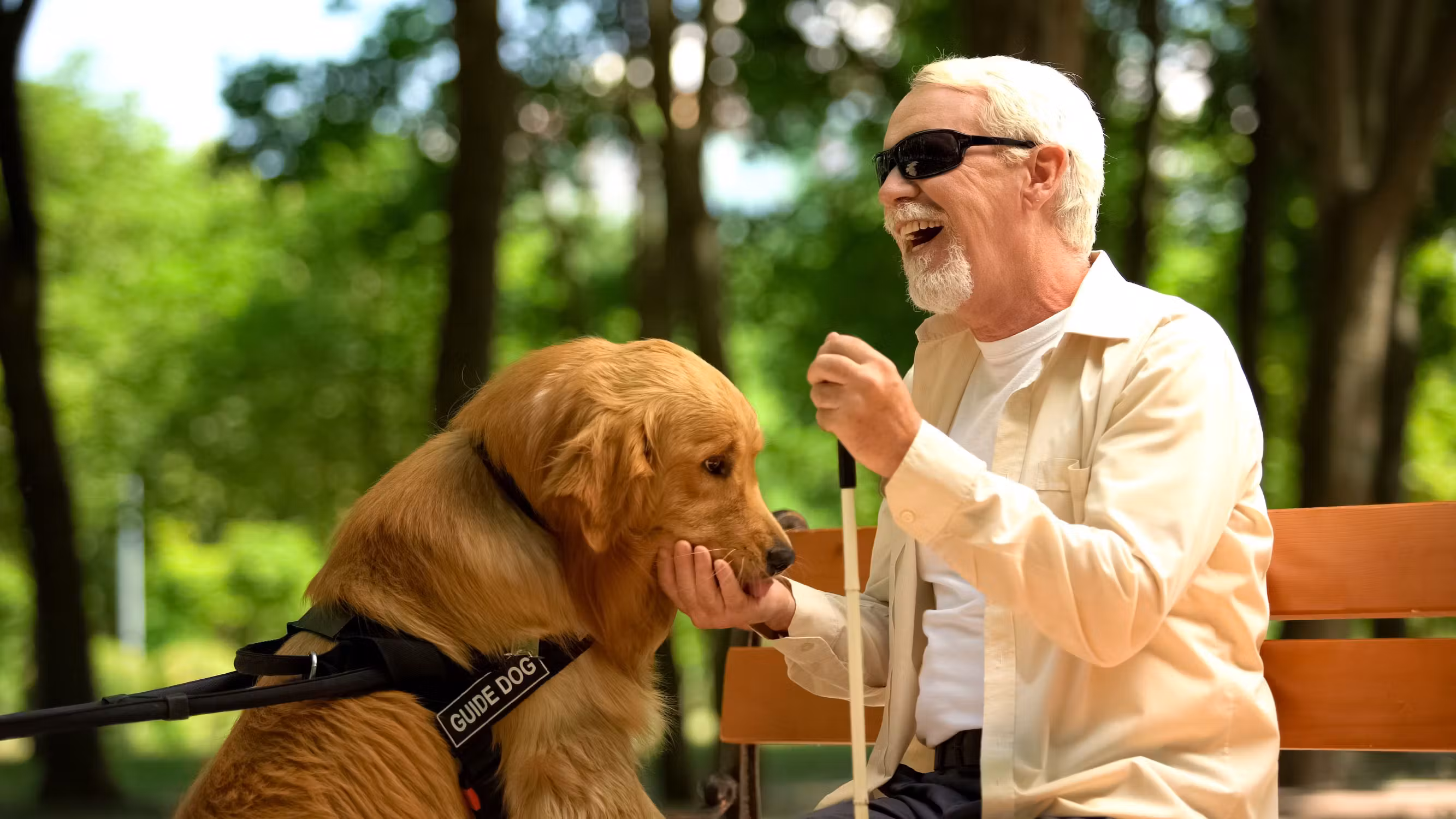 Un homme aveugle souriant assis sur un banc qui tient son labrador guide avec la main