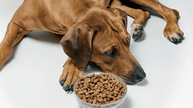 Design sans titre (3).png